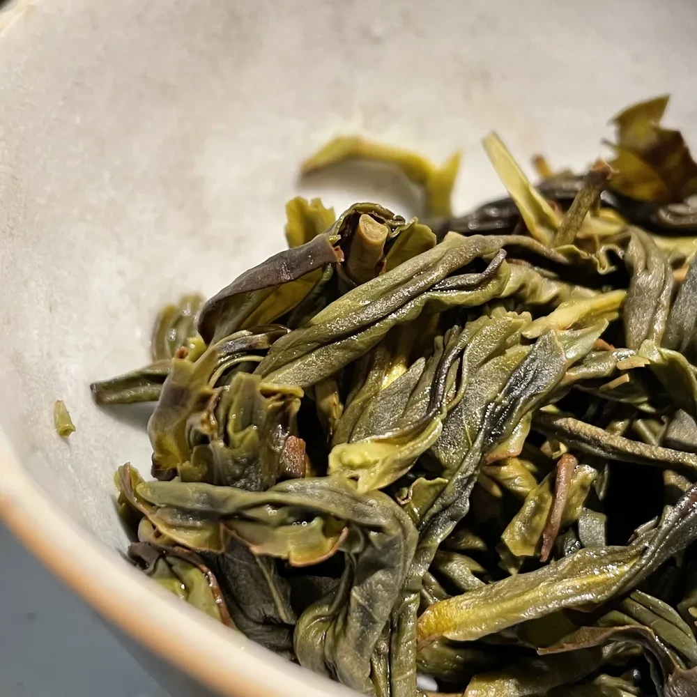 六雪单丛茶