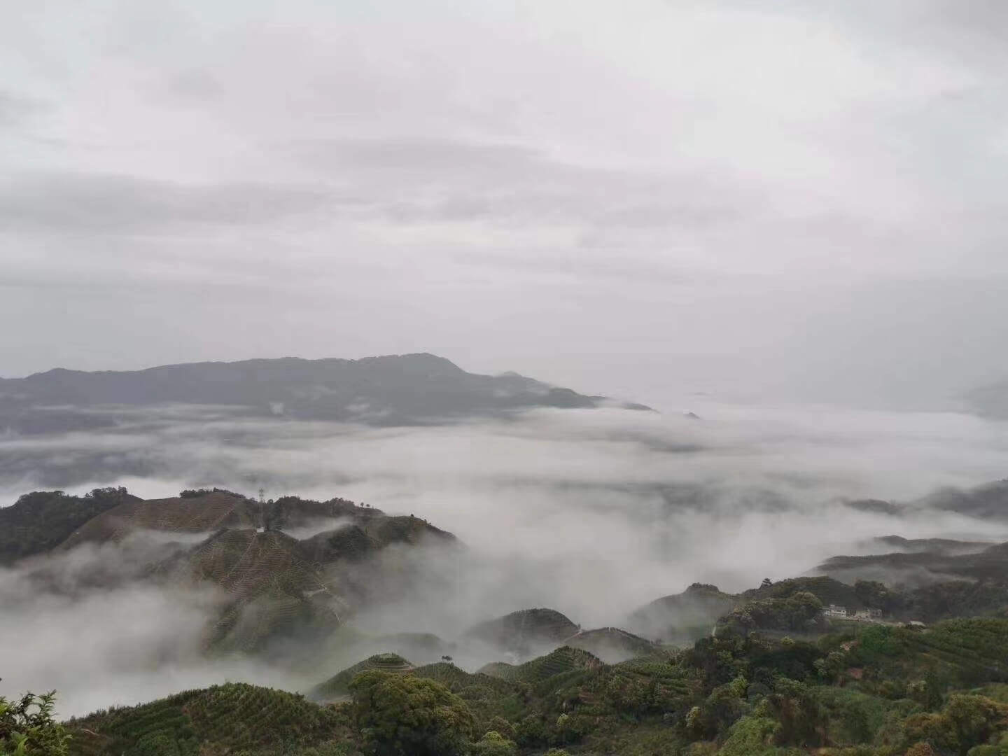 乌岽山鸟瞰/潮州凤凰山